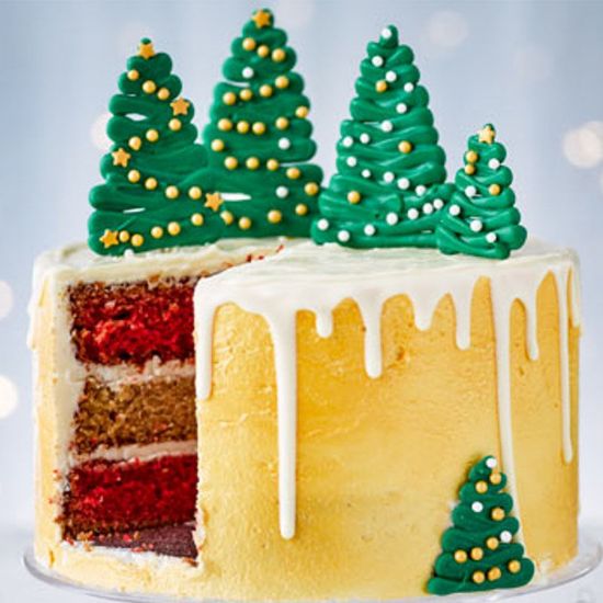 Picture of Christmas cake with amazing festive decoration